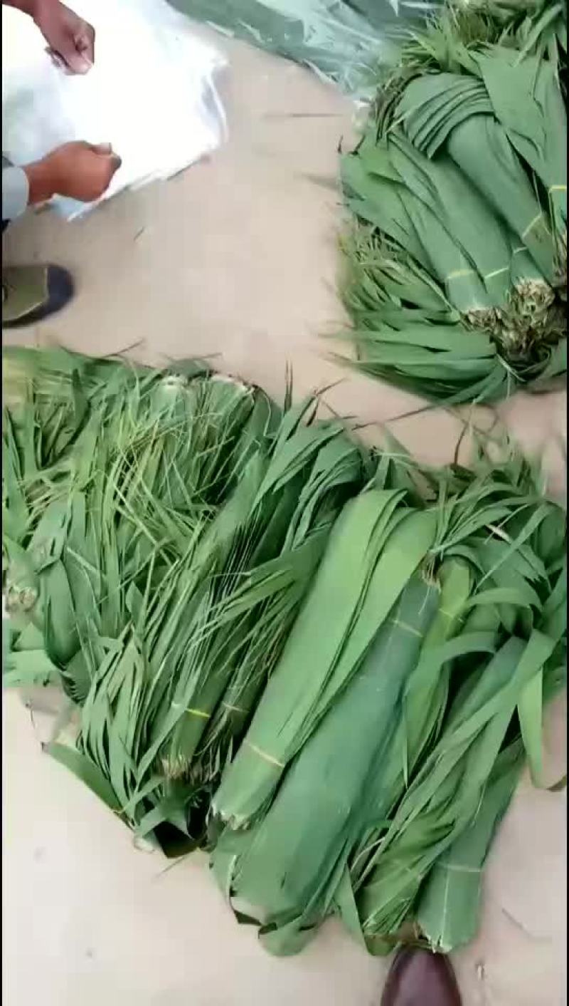 粽叶