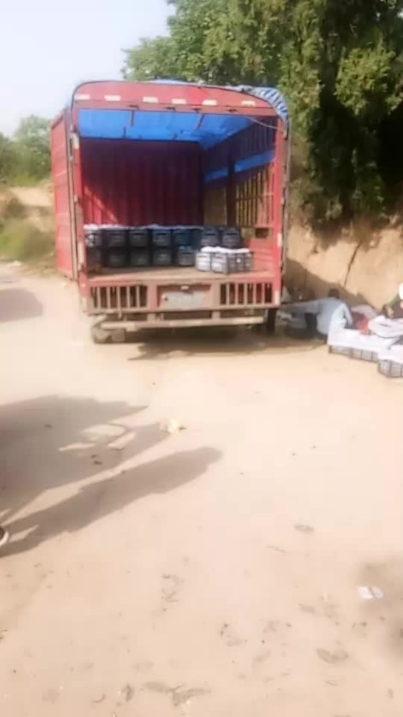 红灯红宝