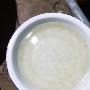 大量供应草鱼水花