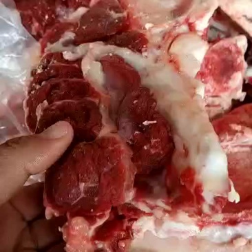肉类冻品