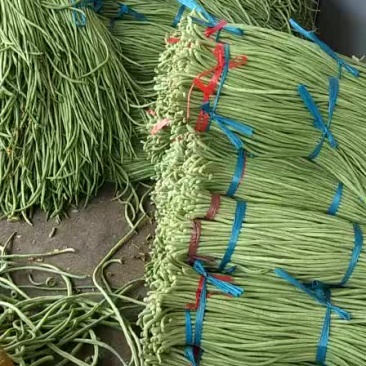 豆角大量下来