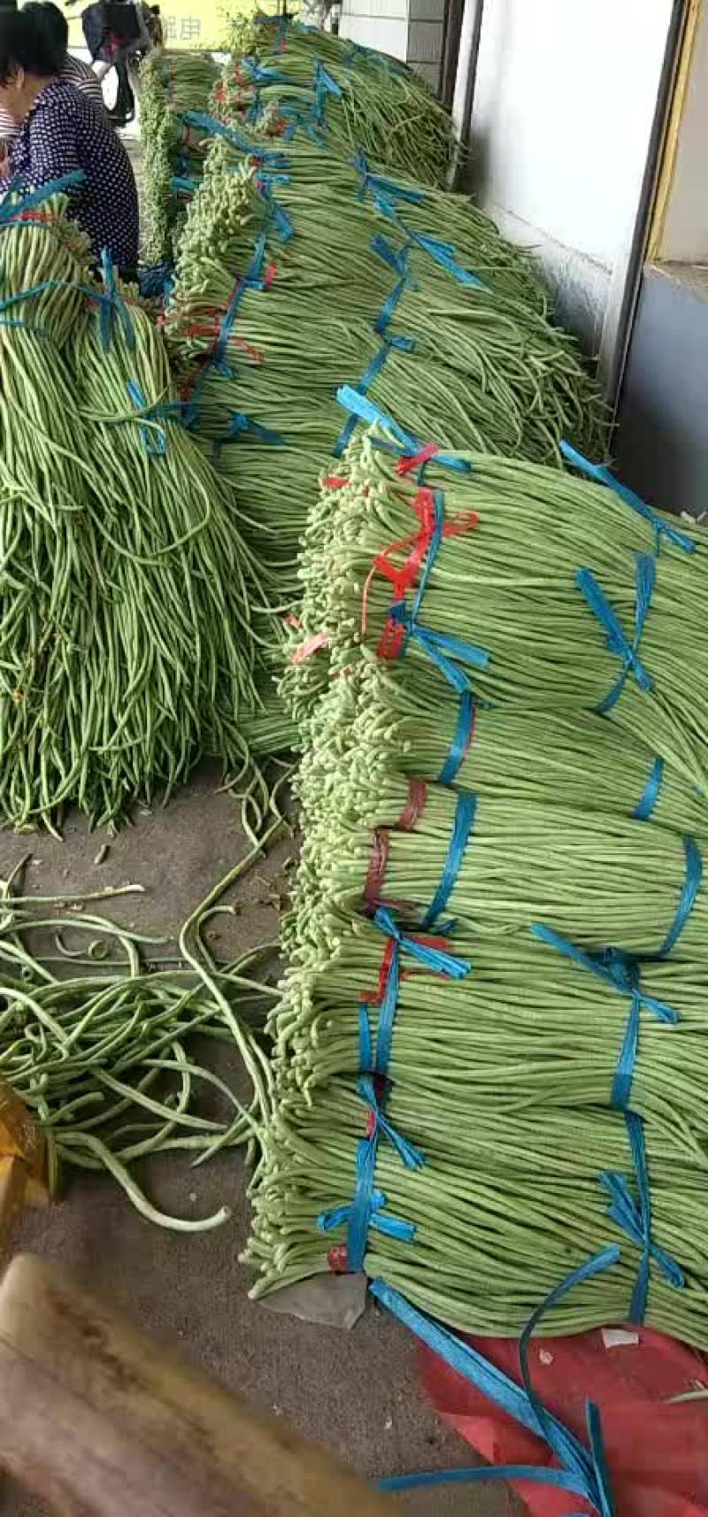 豆角大量下来