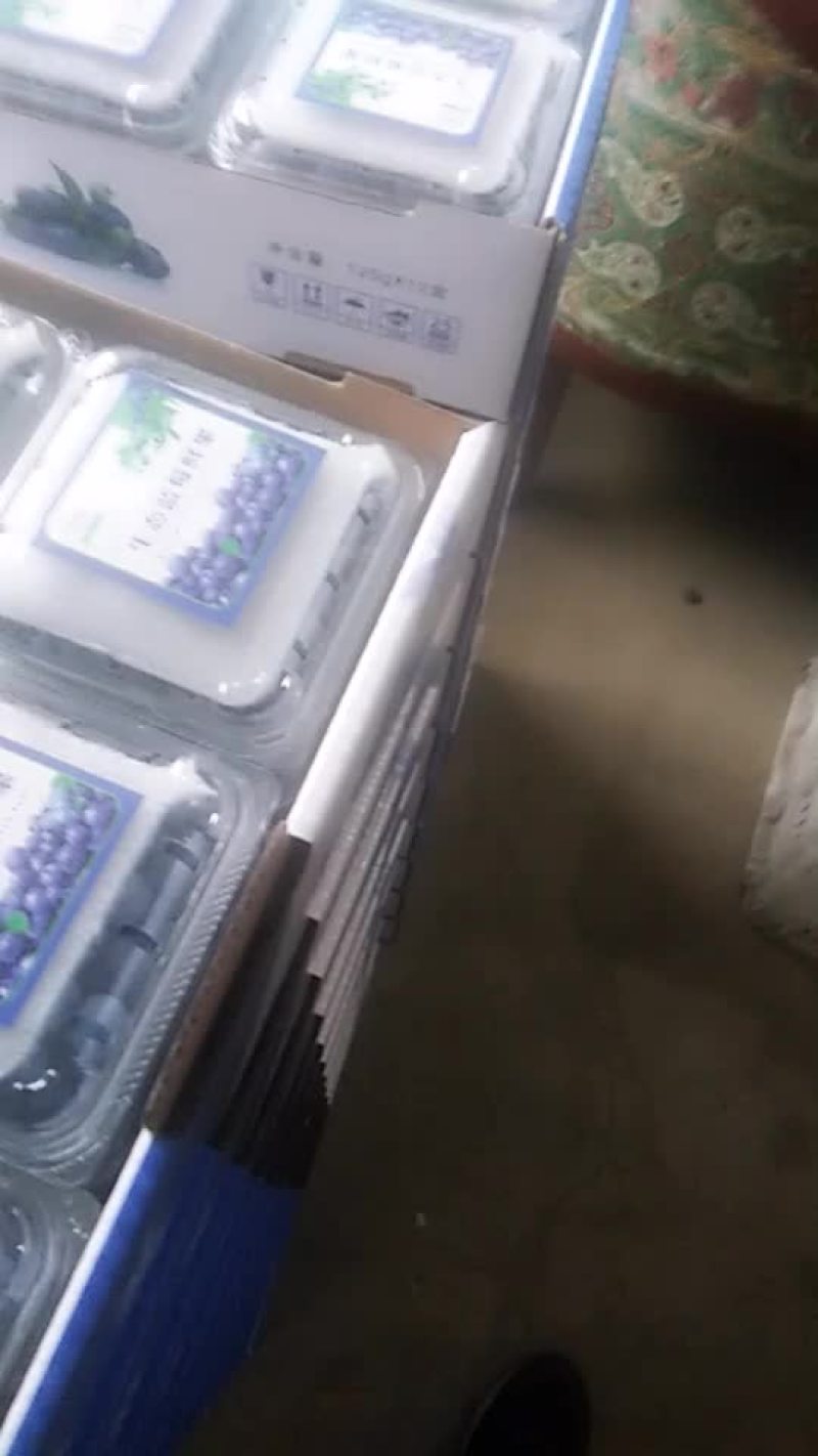 蓝莓