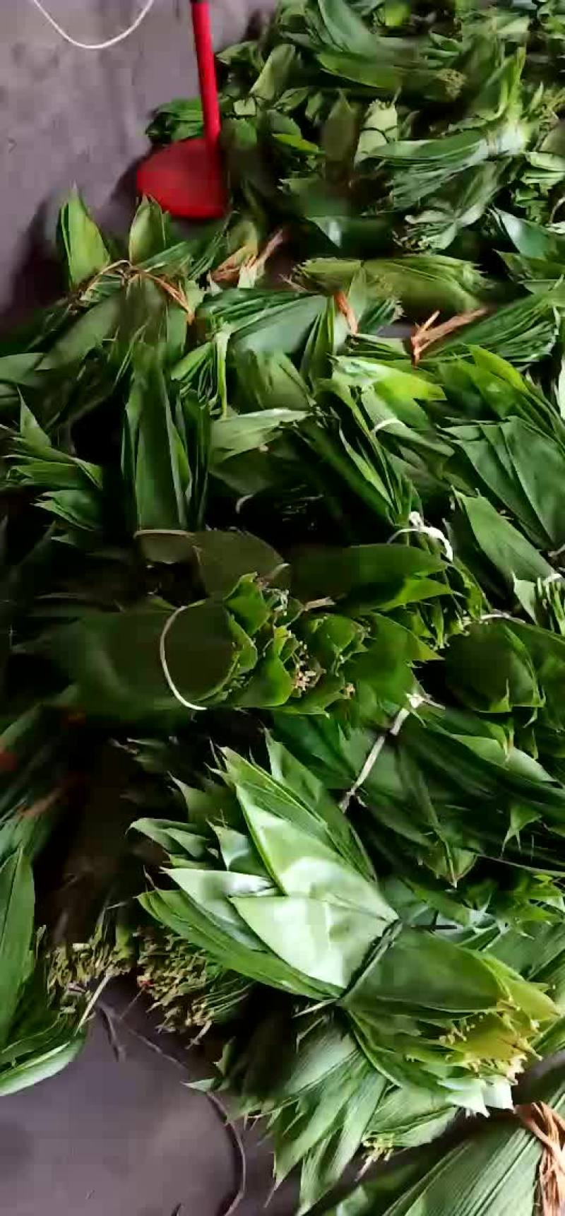 粽叶