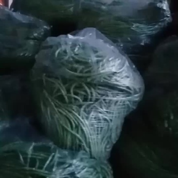 长豆角