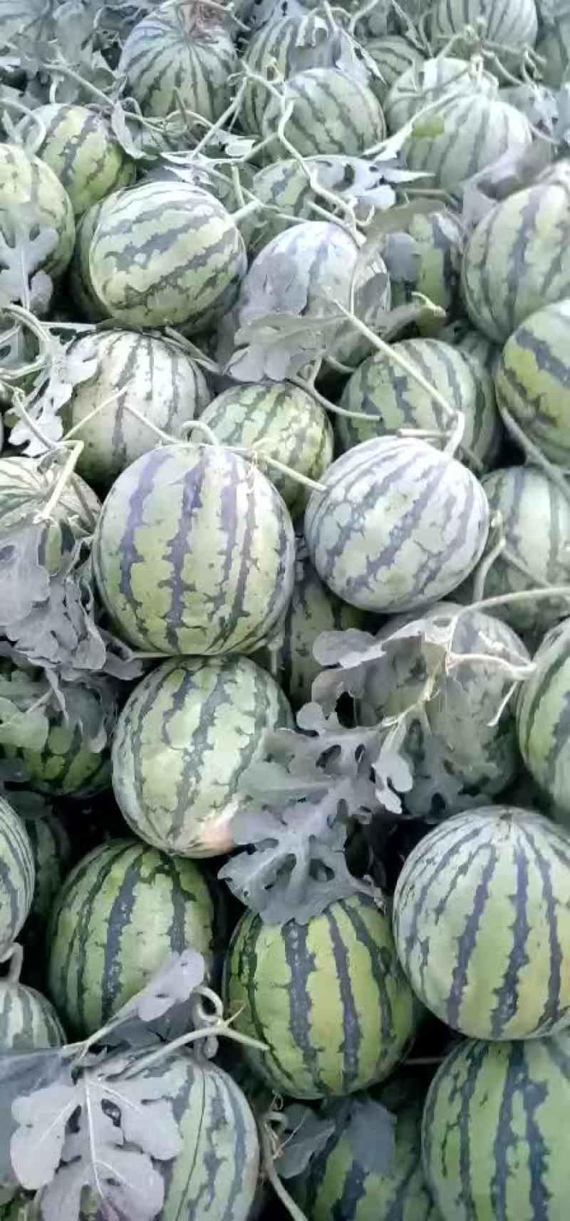 8424