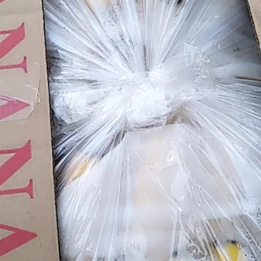精品香蕉