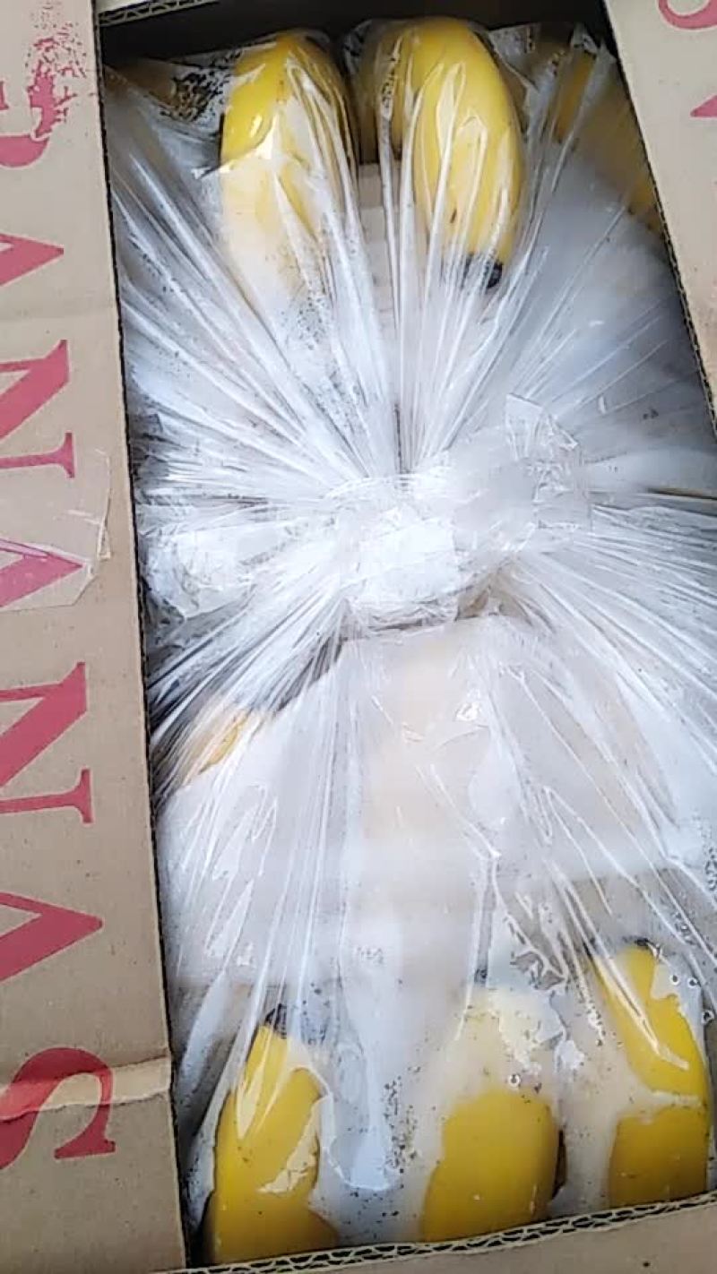 精品香蕉