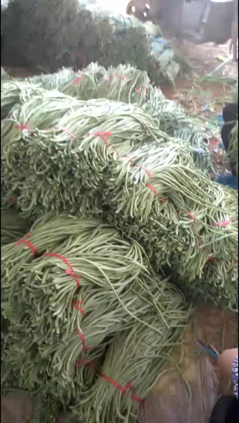 豆角