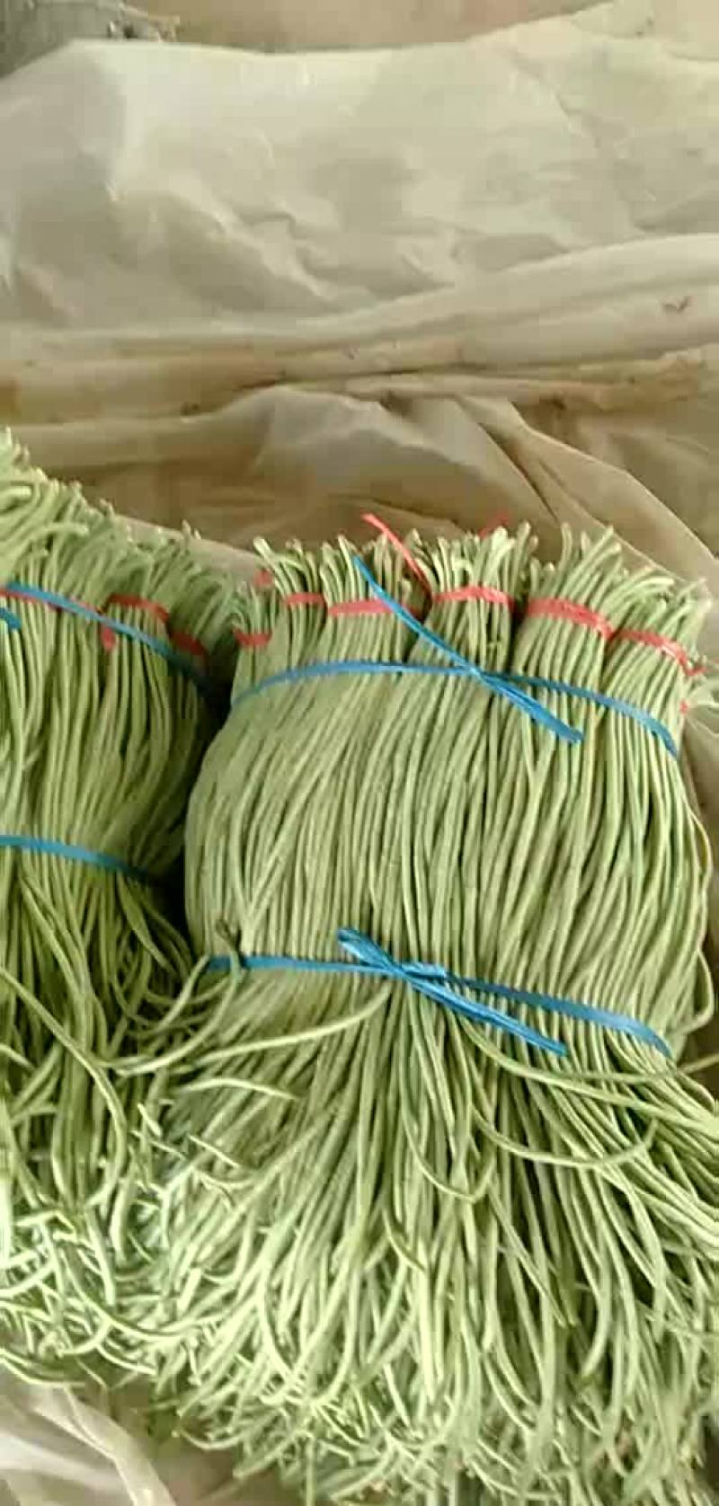 豆角大量上市