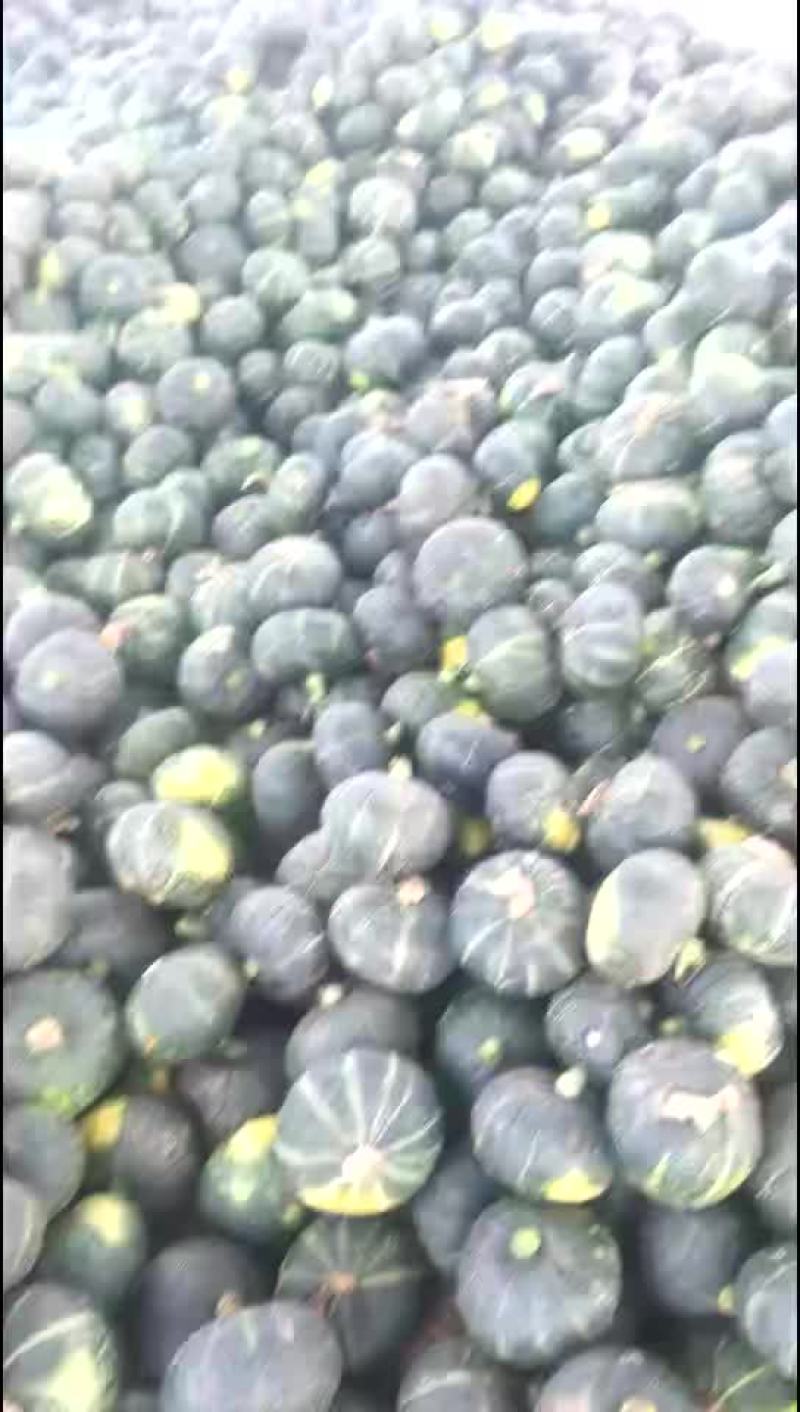 板栗南瓜
