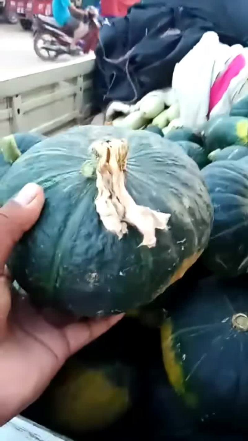 各位老板南瓜大量上市