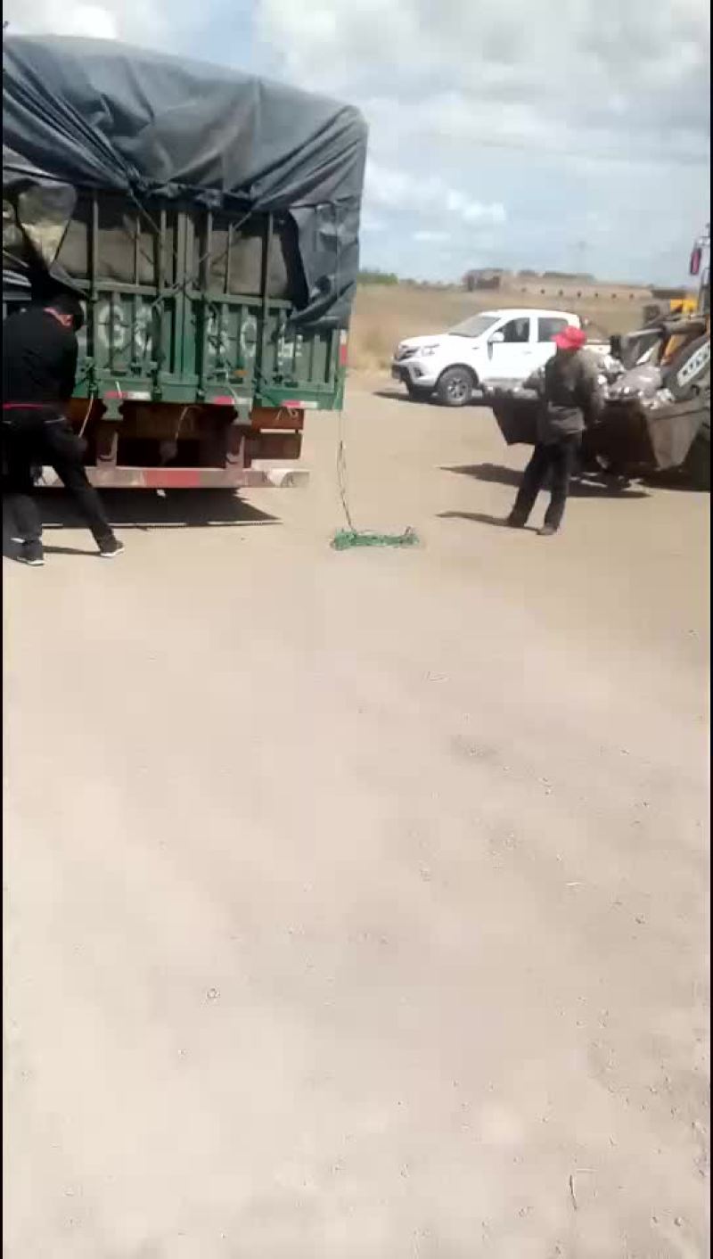 土豆