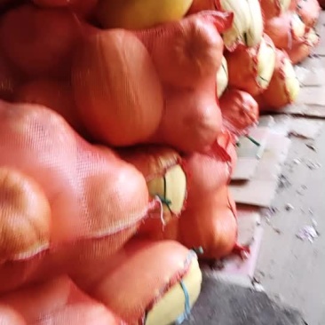 金丝瓜