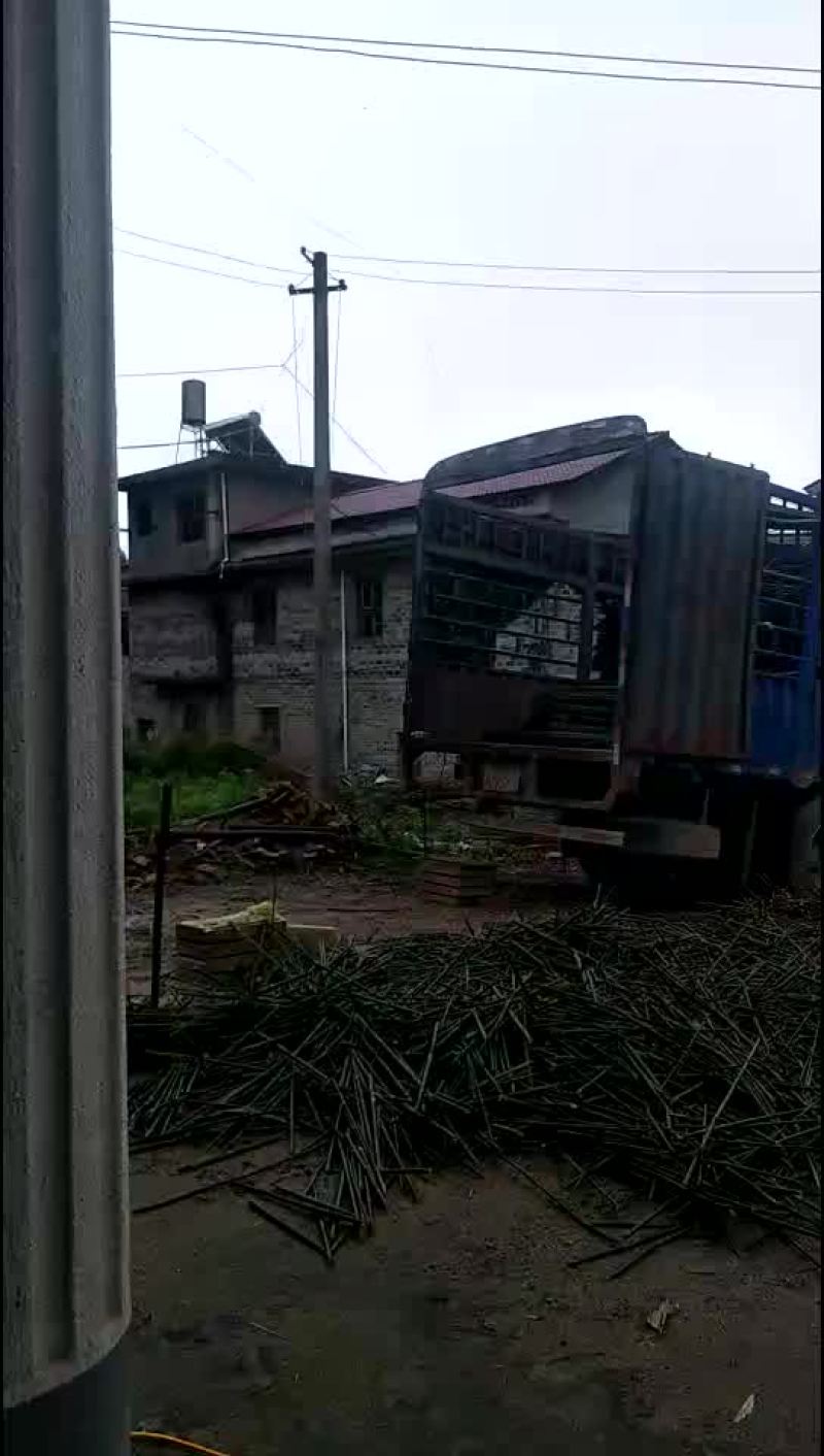 大量供应毛竹