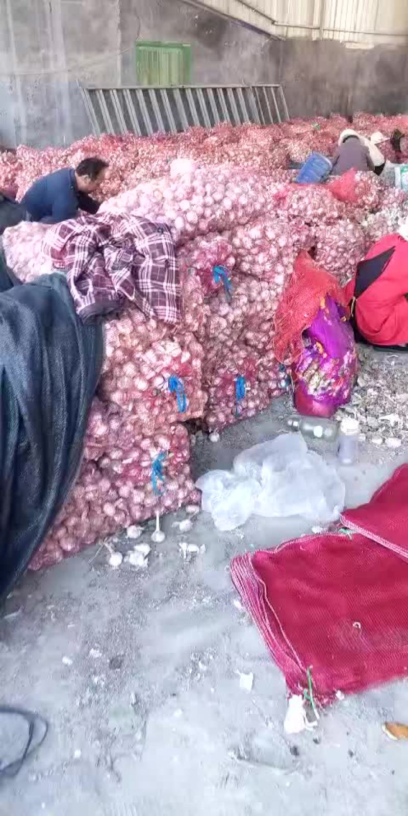 大蒜