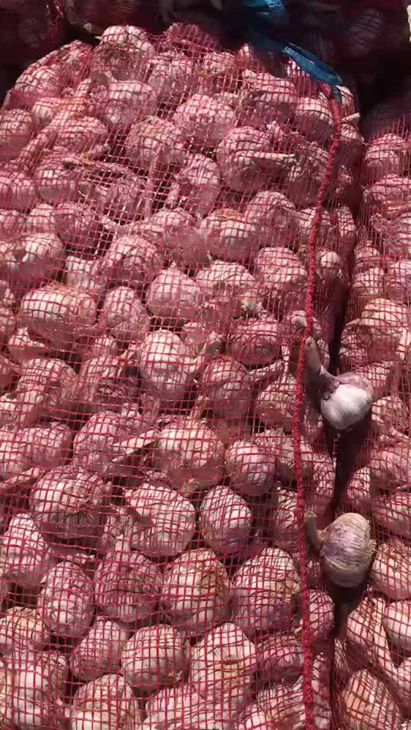 大蒜