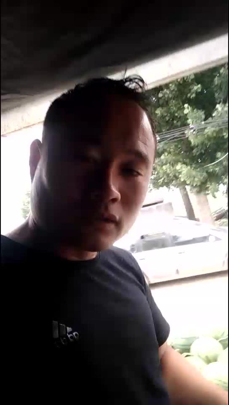 京欣西瓜