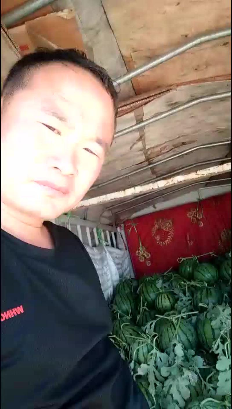 京欣西瓜