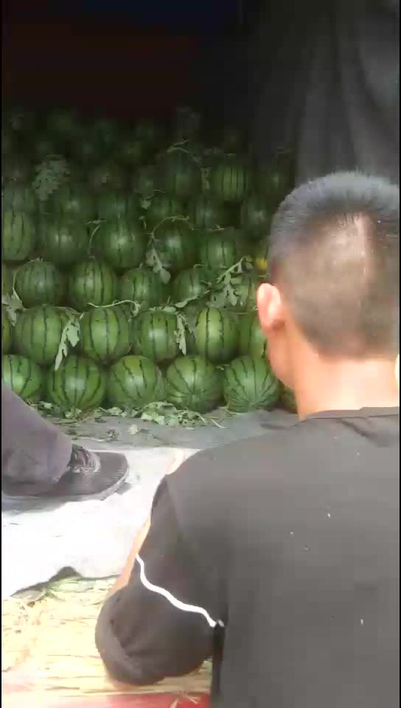 京欣西瓜