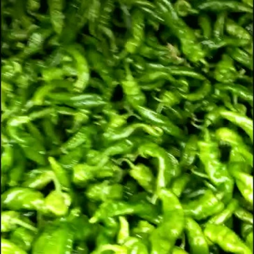 螺丝辣子