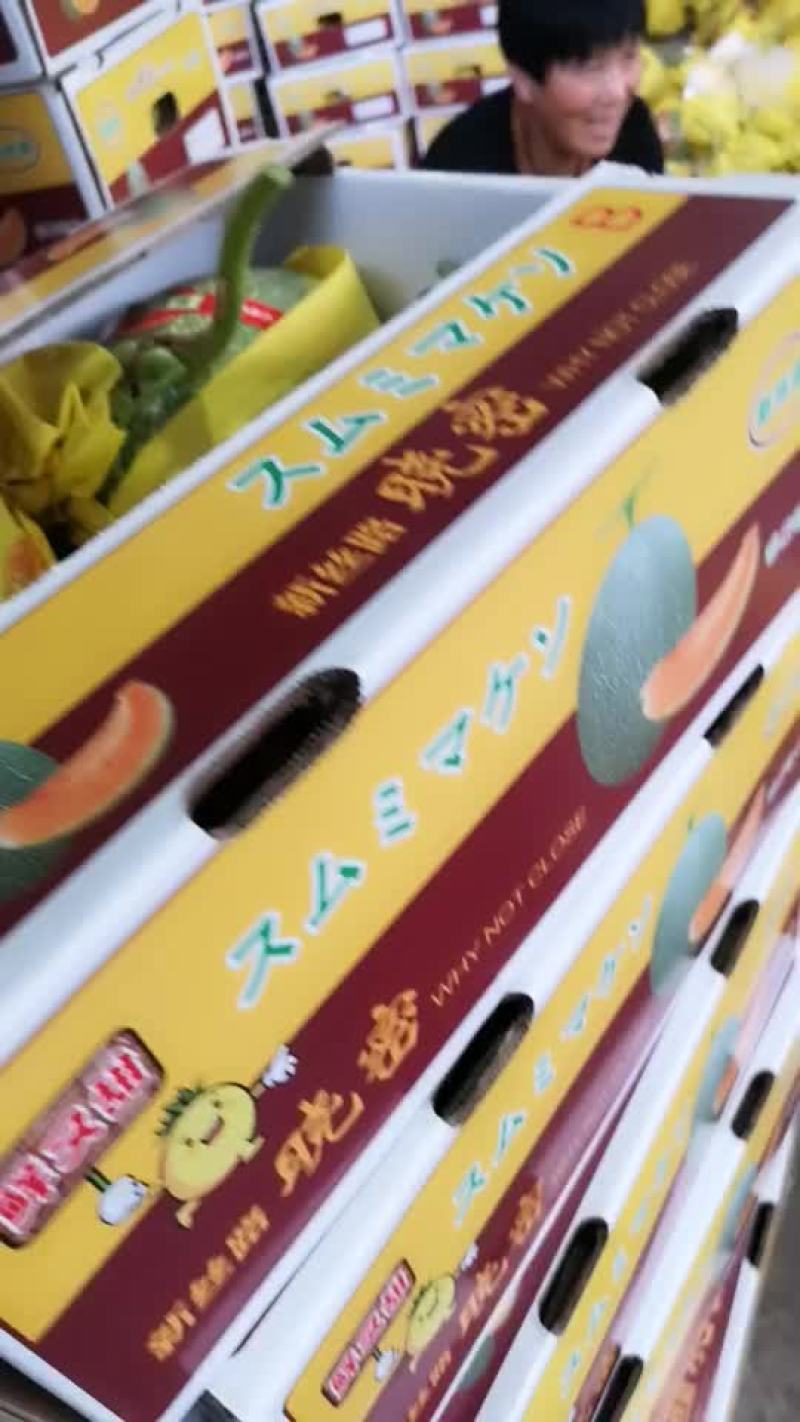 晓蜜25号精品蜜瓜