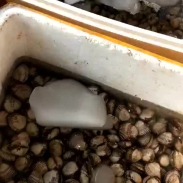 水产