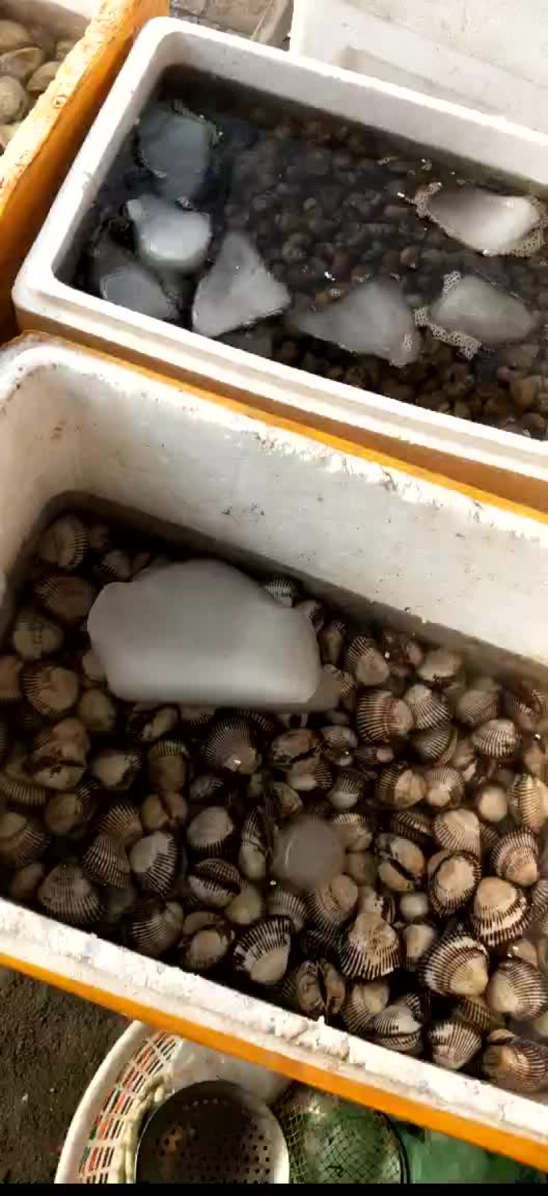 水产