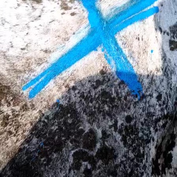 大量出售各种肉牛育肥大母牛大公牛二曹子
