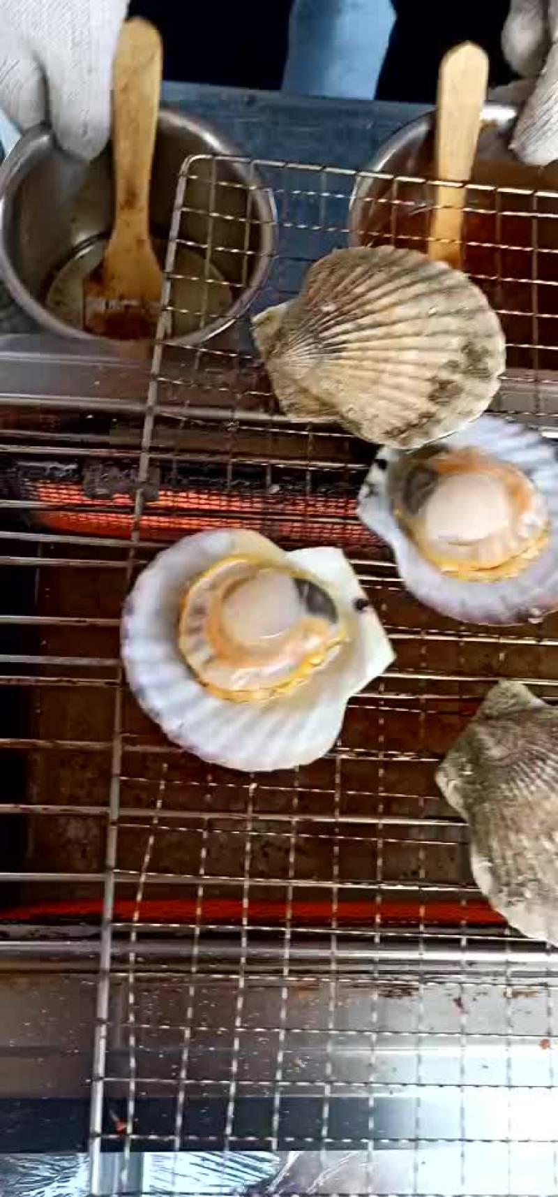 供应威海本地虾夷扇贝