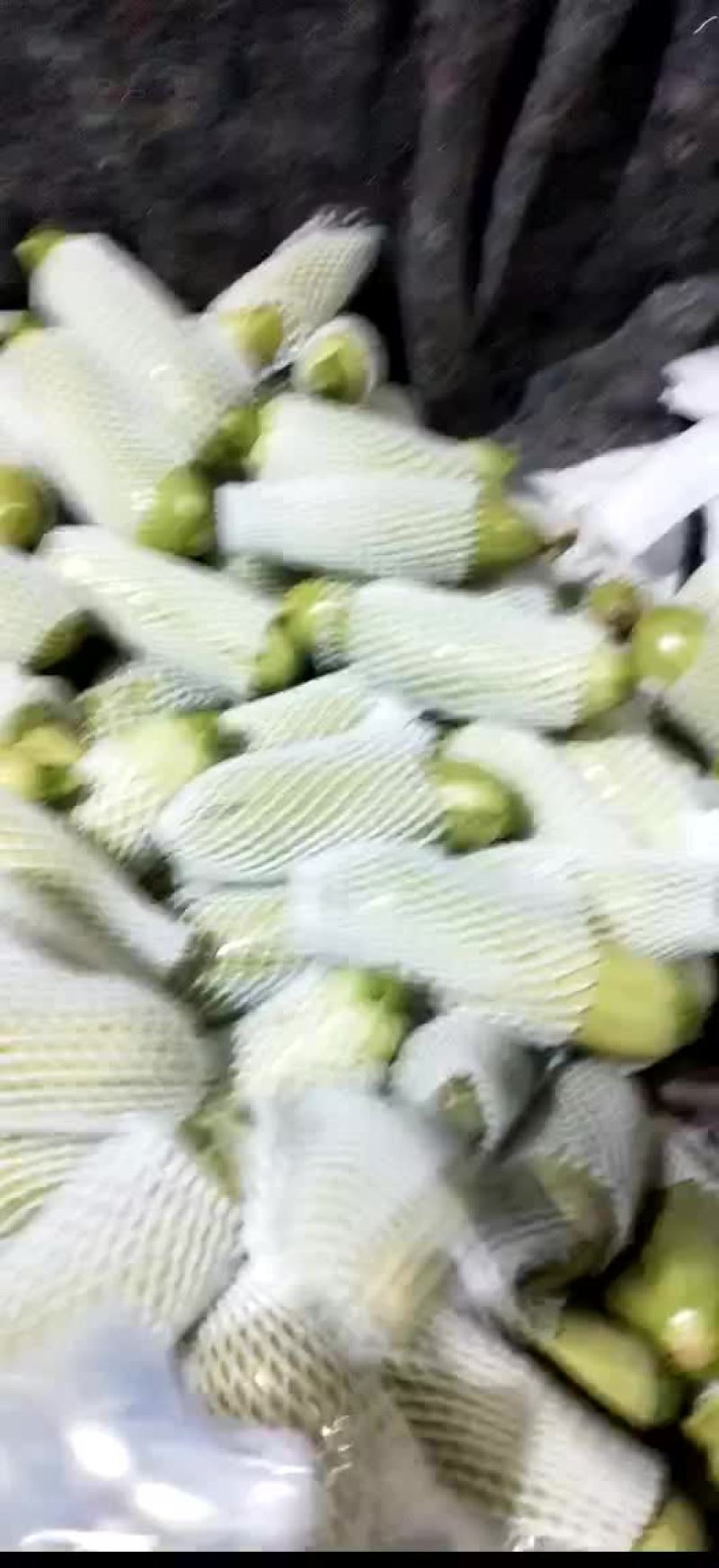 绿皮西胡芦质量很好啊