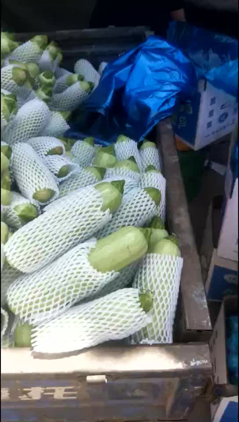 绿皮西胡芦质量很好啊