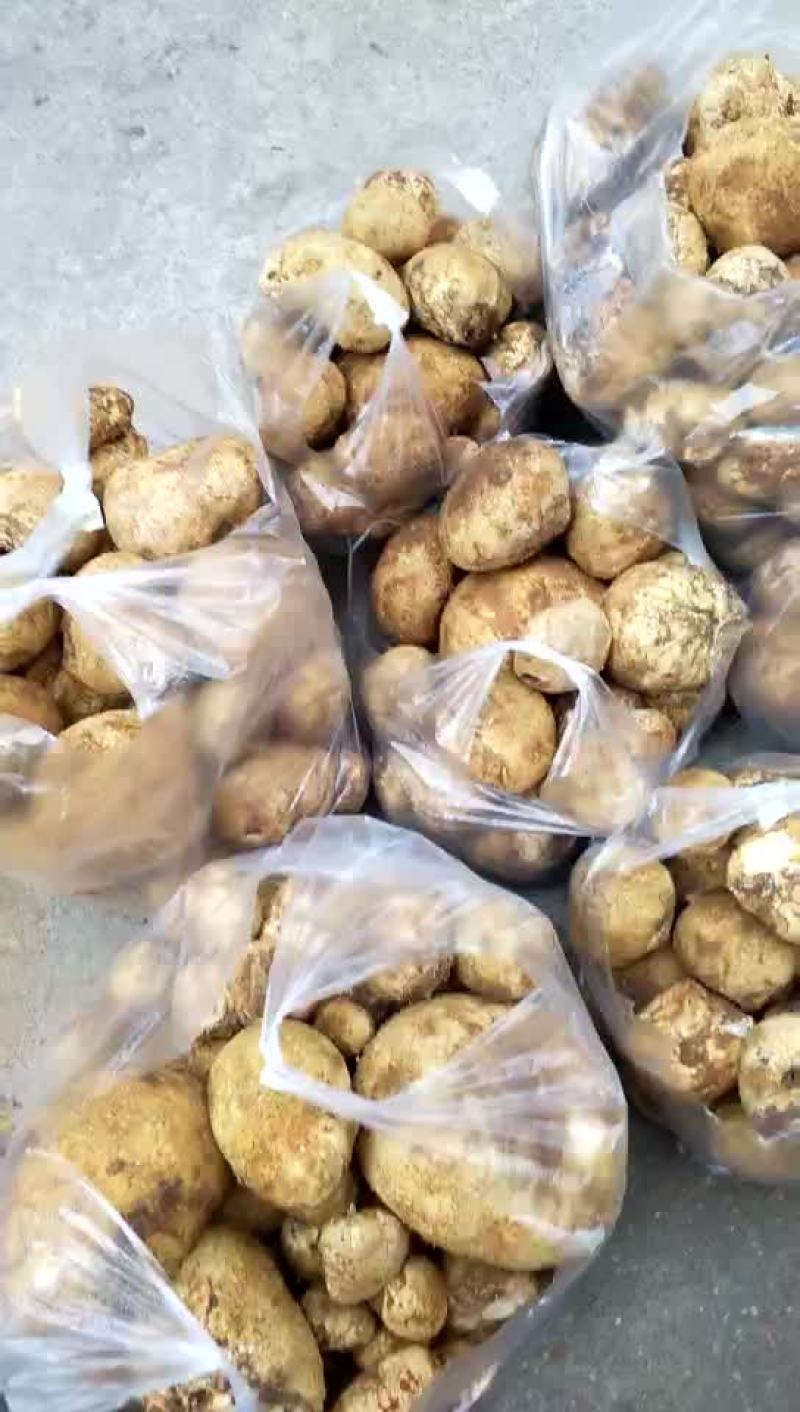 野生菌，没有中间商，易保存！