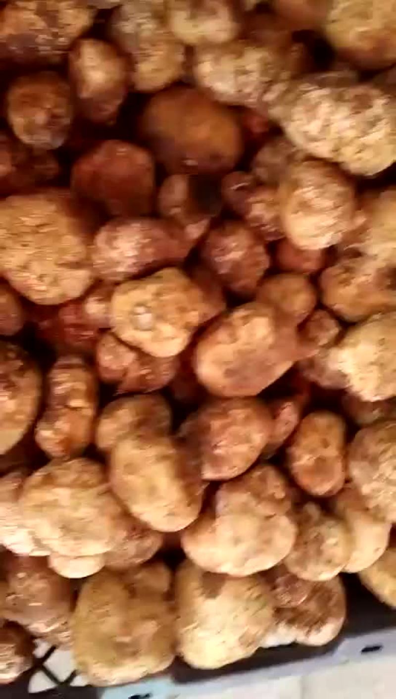 野生菌，没有中间商，易保存！