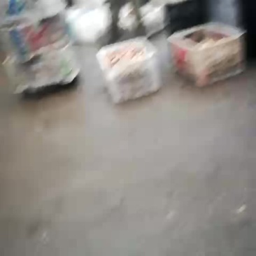 食用菌