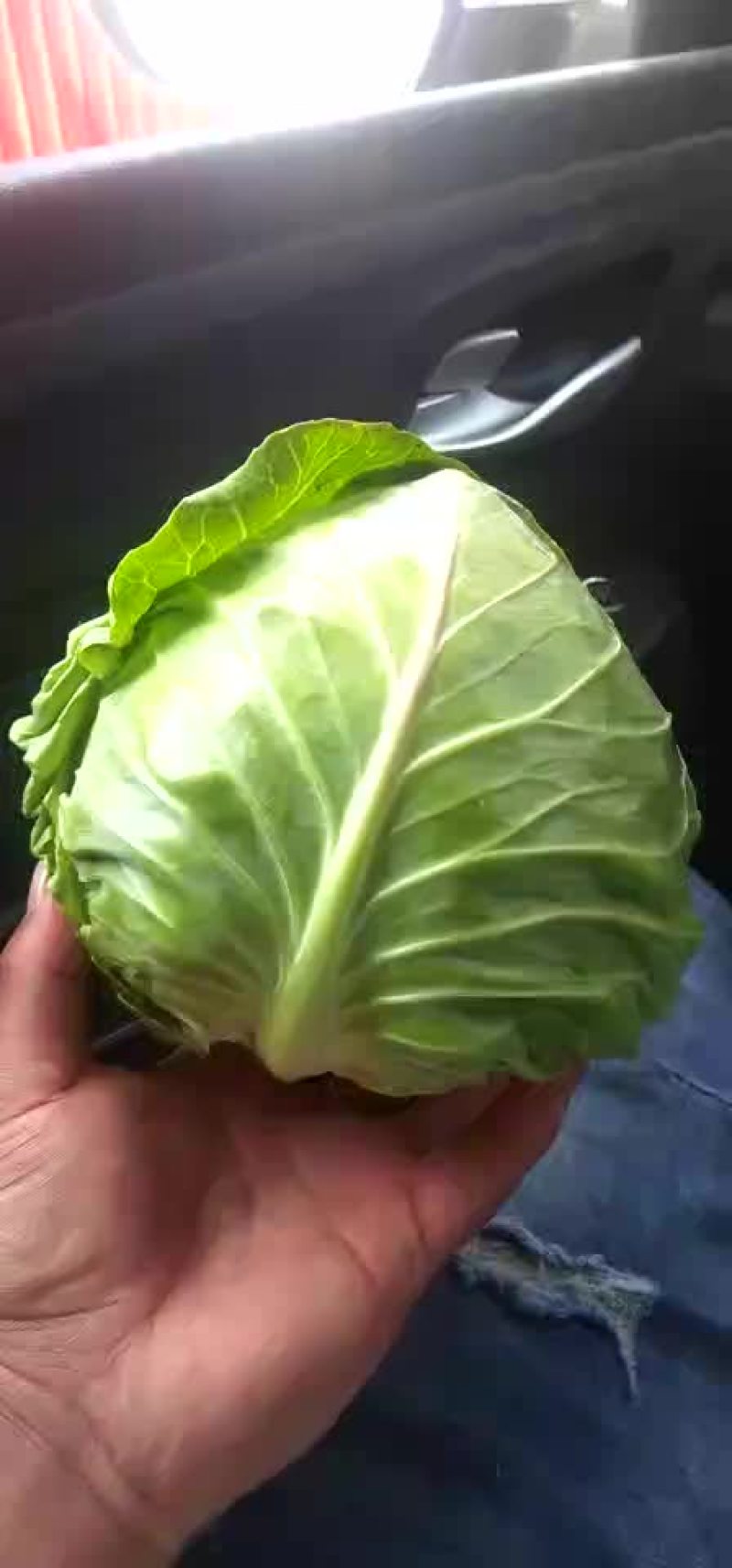 河北邯郸南大堡蔬菜市场散花甘蓝石花大量上市