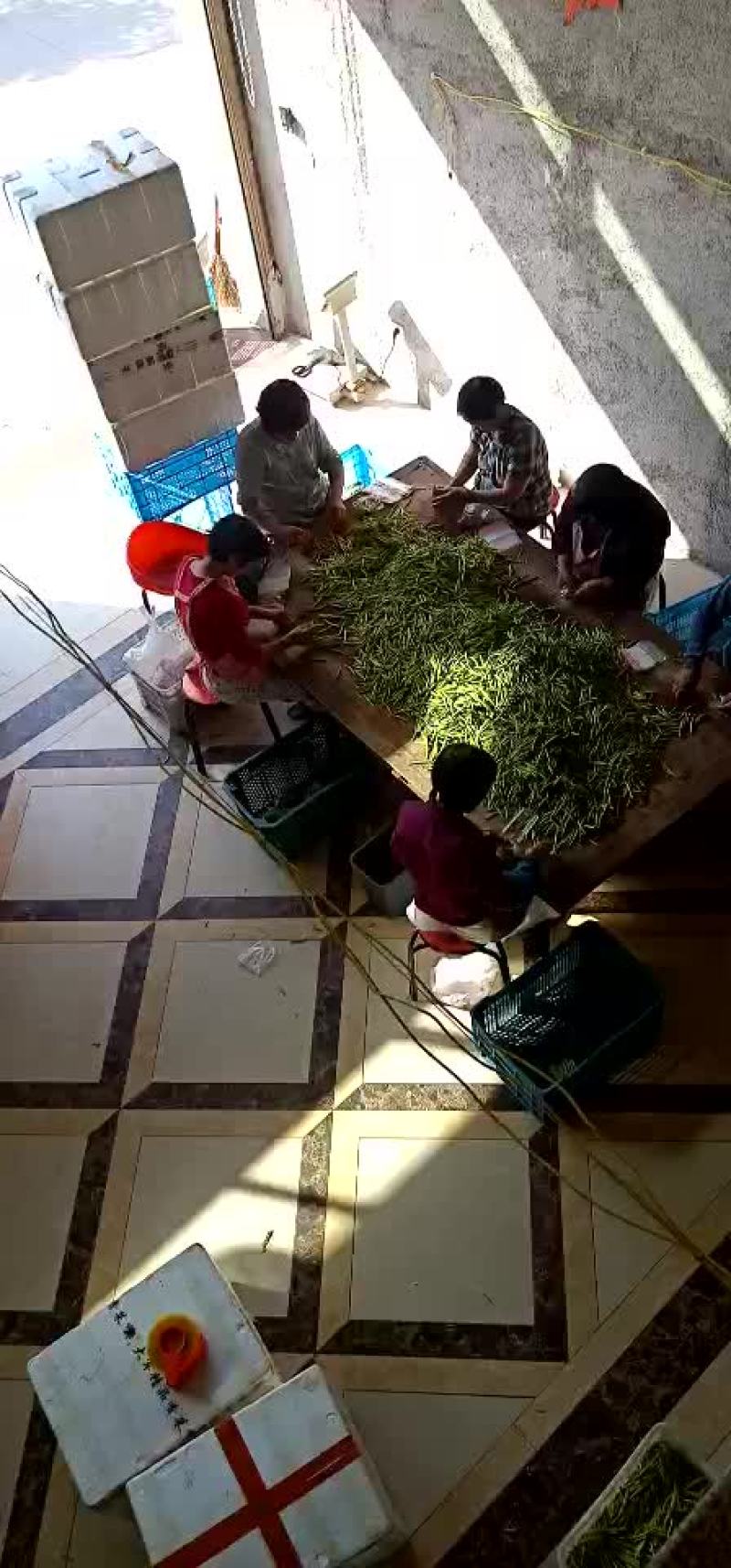 黄花菜