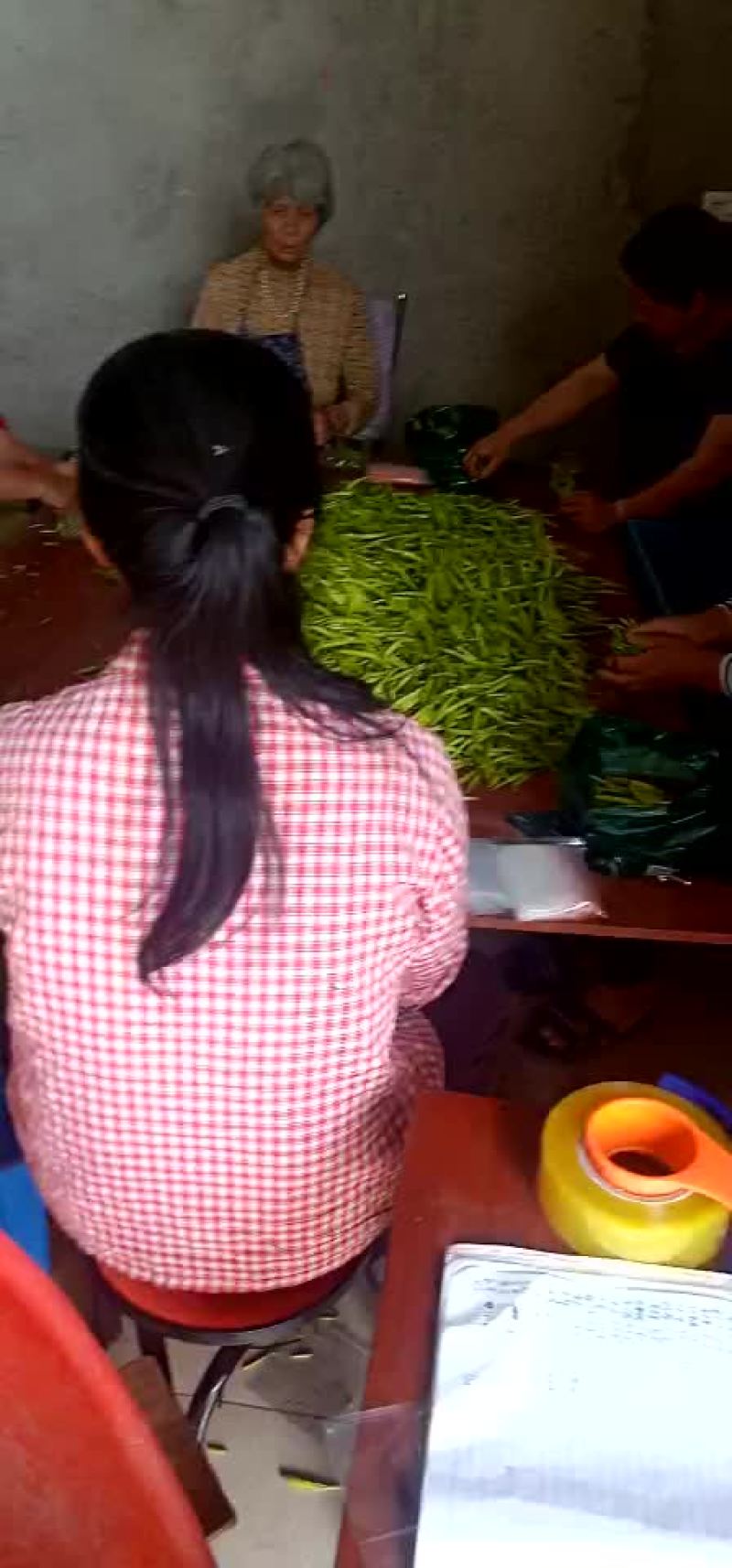黄花菜