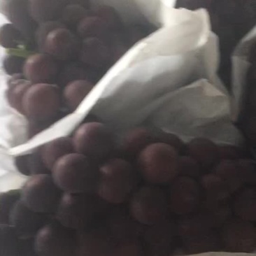 葡萄