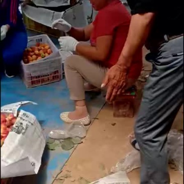 梅杏大量供货