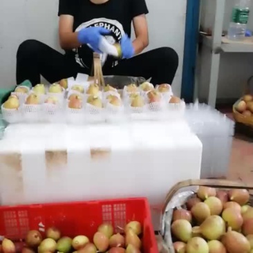 无花果大量上市，有需要联系