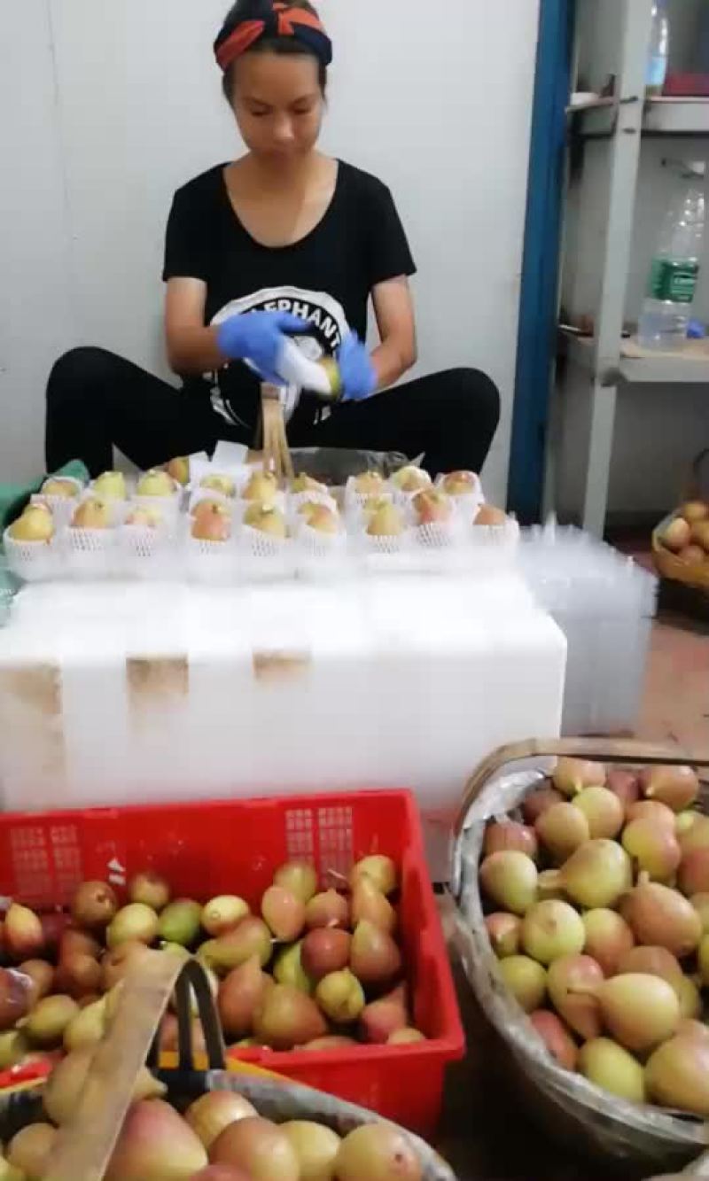 无花果大量上市，有需要联系
