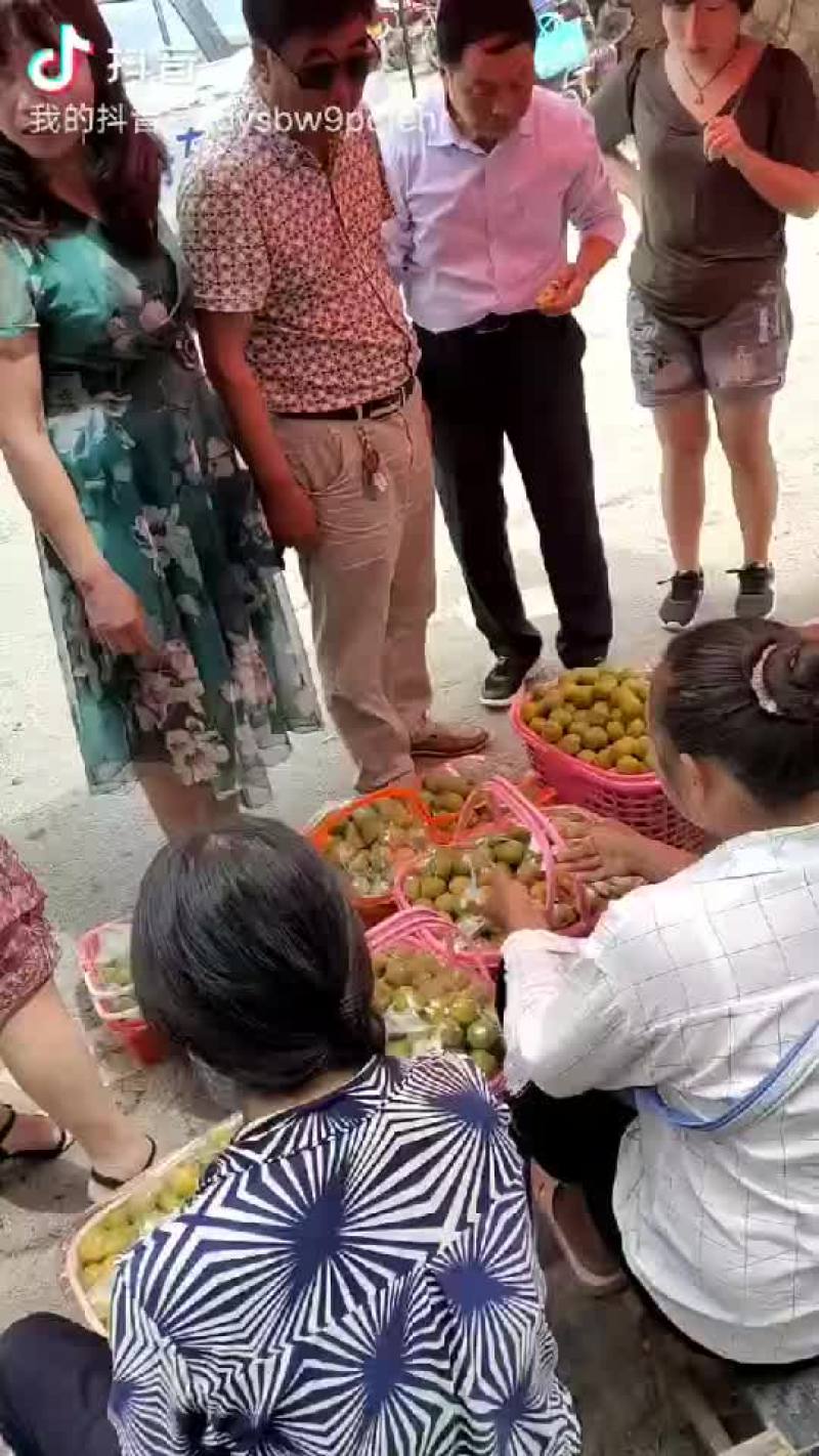 蜂糖李