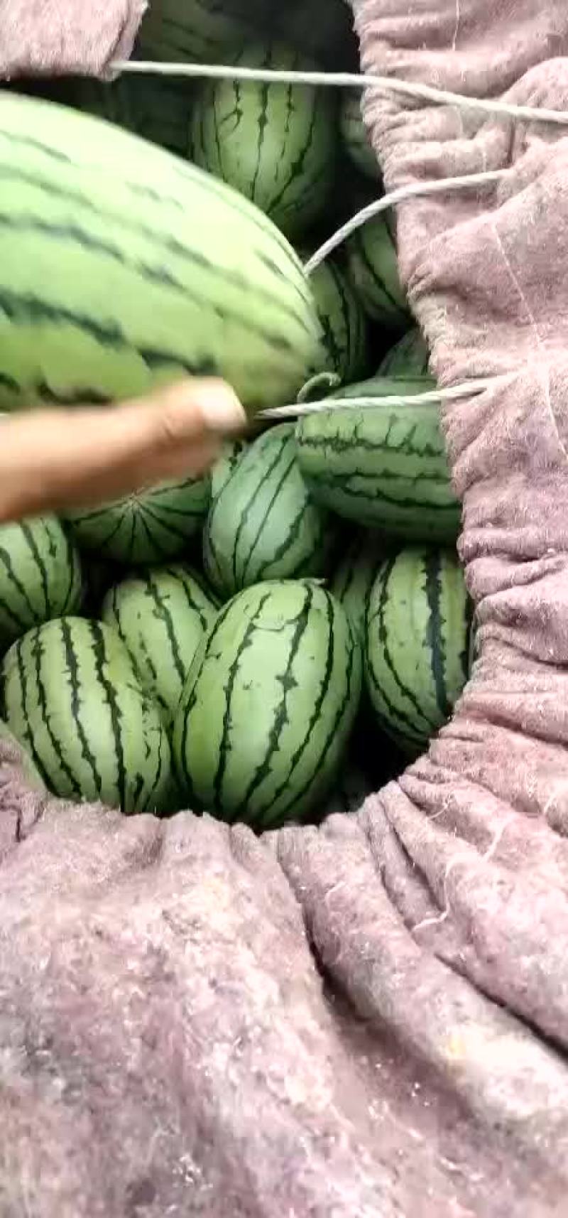 山东潍坊精品全美二K，大量上市质量杠杠滴欢迎采购