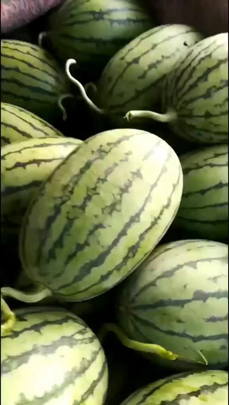 山东潍坊精品全美二K，大量上市质量杠杠滴欢迎采购