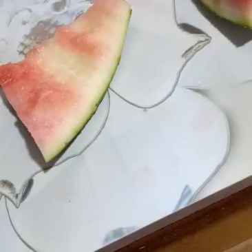 正崇半截楼西瓜自生苗