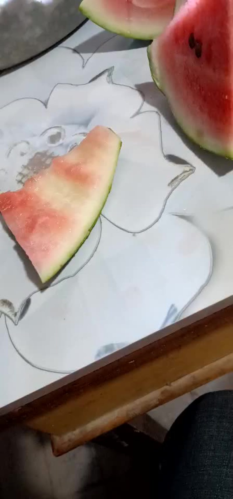 正崇半截楼西瓜自生苗