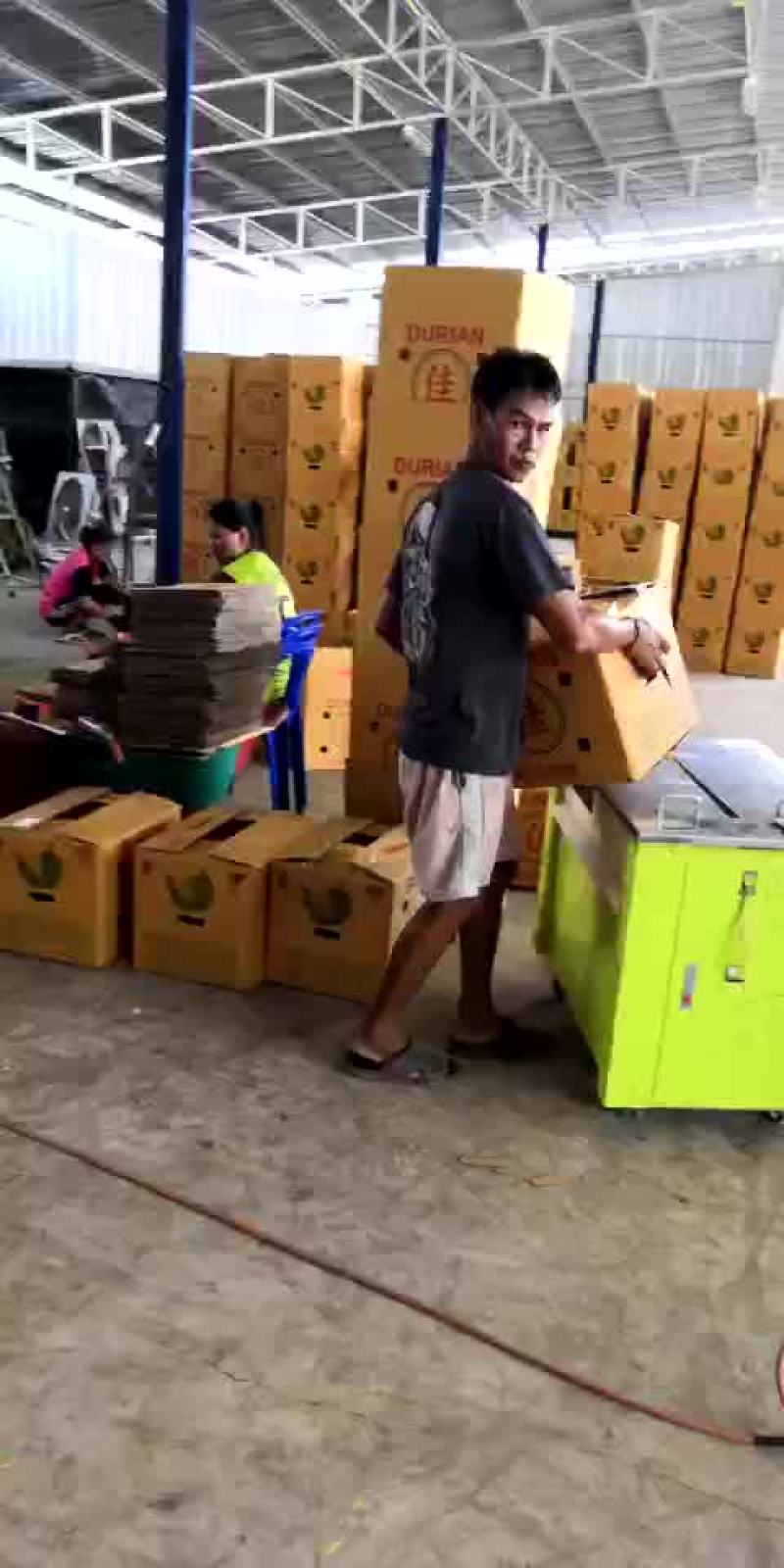 金枕榴莲