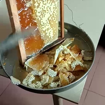 菜油，茶油，野生土蜂蜜