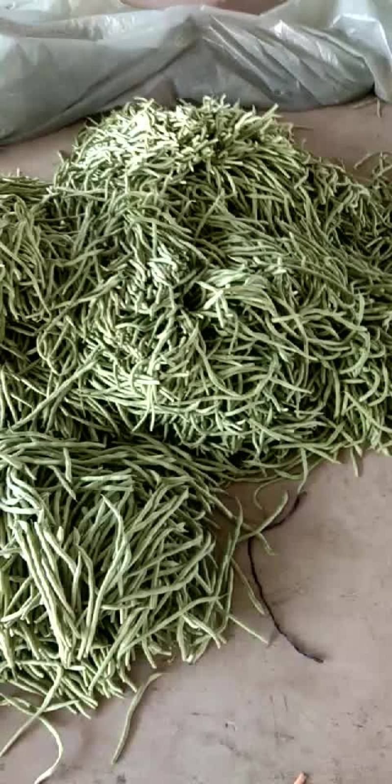 各种豆角